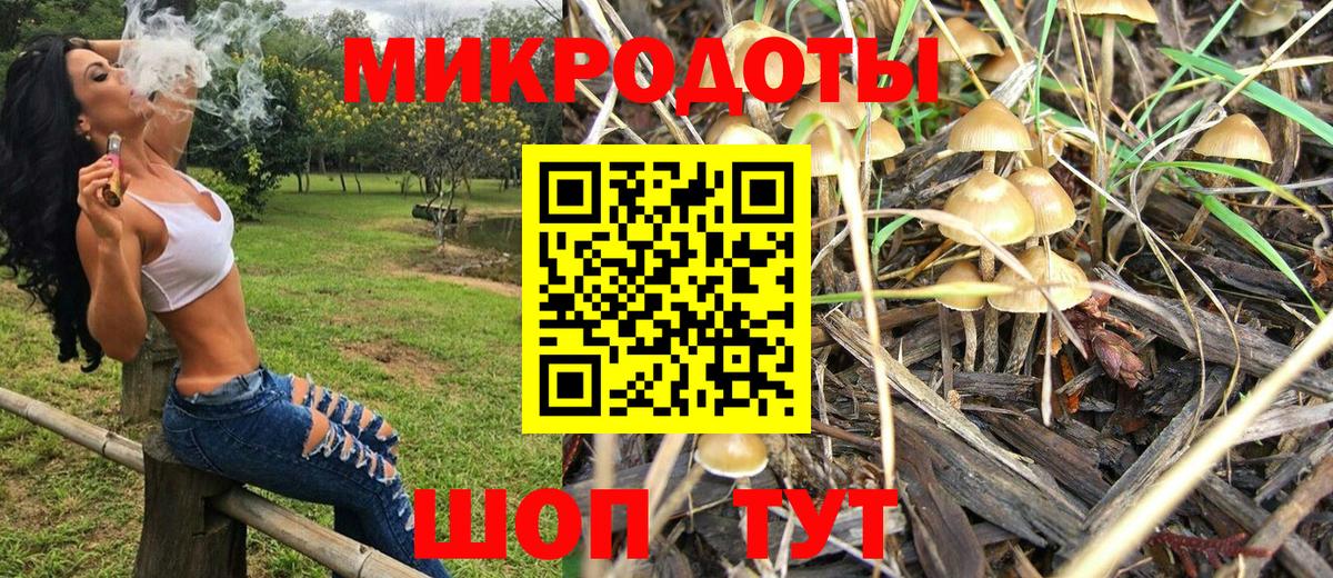 Галлюциногенные грибы MAGIC MUSHROOMS  Псилоцибиновые грибы Psilocybine cubensis  Вход с VPN  Нефтекумск 